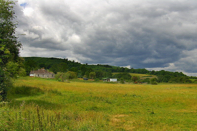 A FOOTPATH VIEW   528