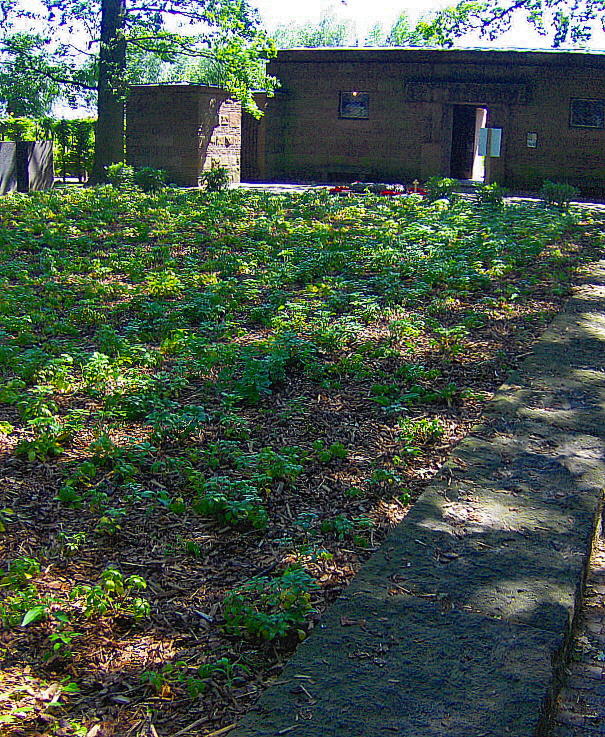 THE COMRADES GRAVE