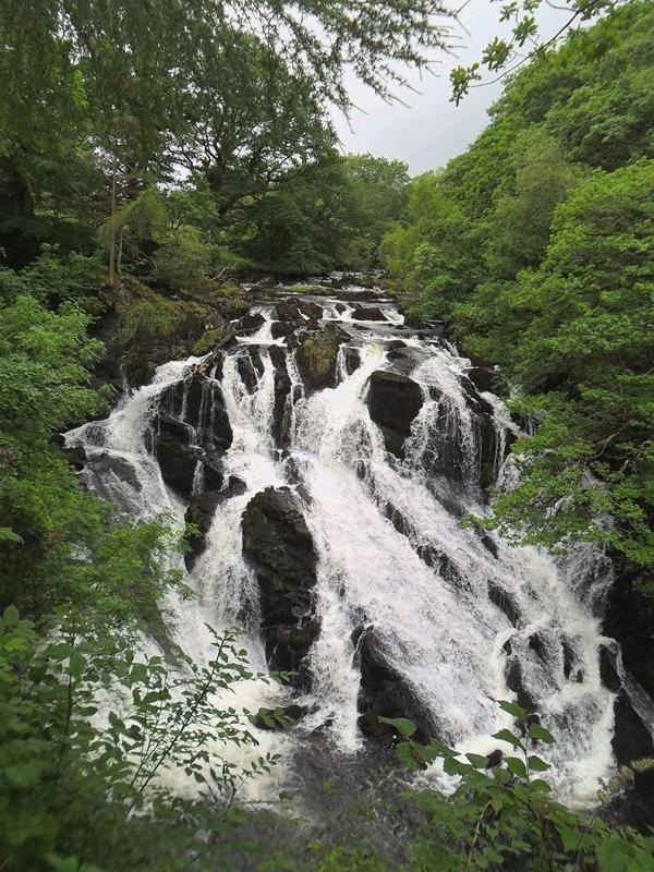 SWALLOW FALLS . 1