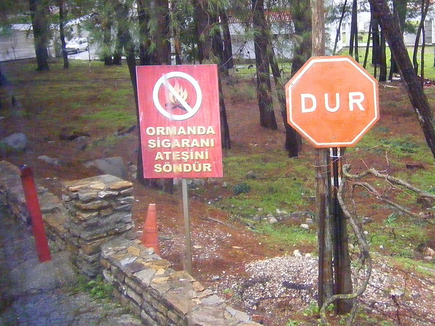 Signs in the wood