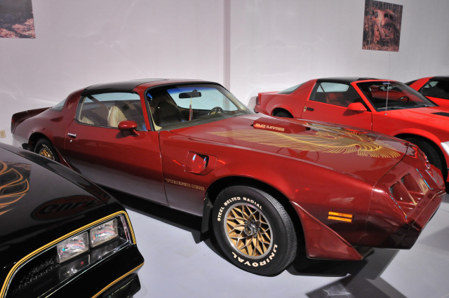 1981 Pontiac Firebird Trans-Am, 305 cid V8, 165 hp, Deborah Sherwood