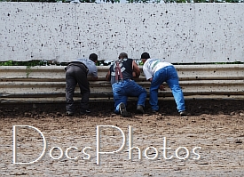 dsc_0146_w275_h199.jpg