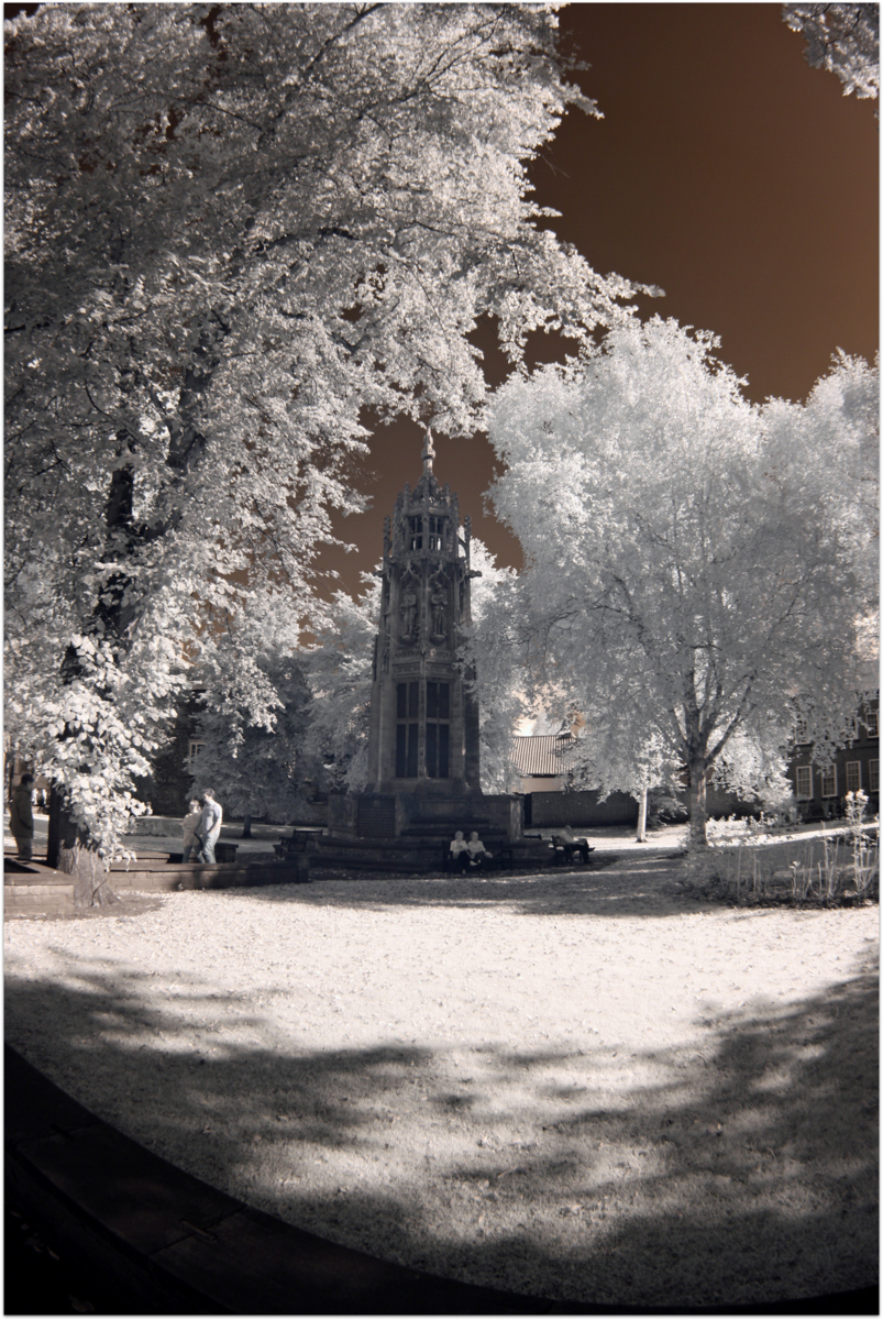 Trees and Monument