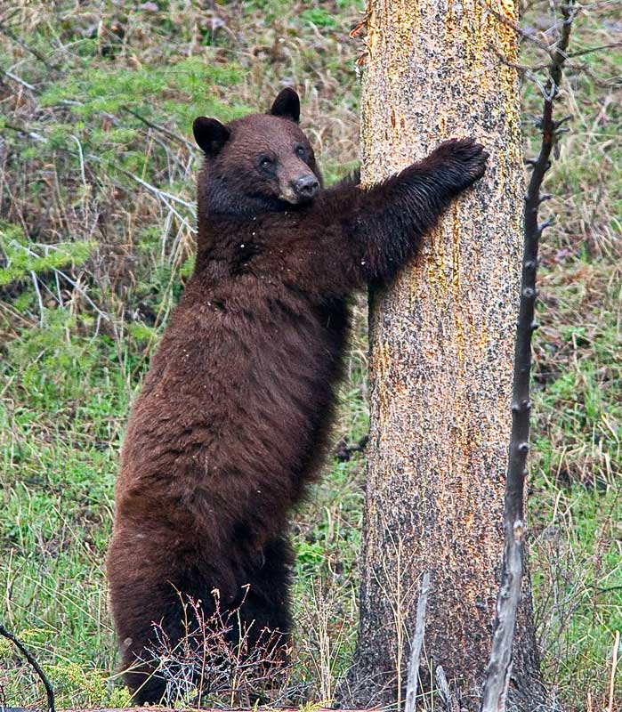...posing for the camera...bye bye!