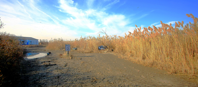 November 18, 2012, Breezy Point, Interior