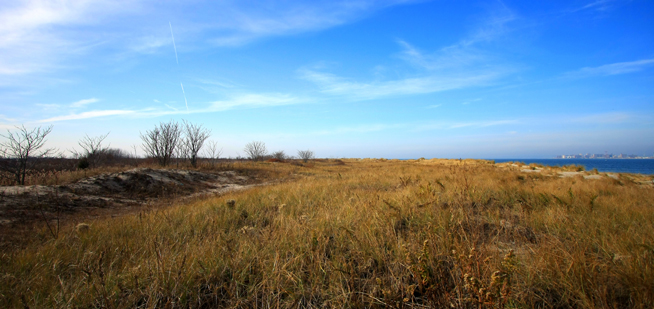 November 23, 2012, Breezy Point, Interior