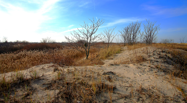 November 23, 2012, Breezy Point, Interior