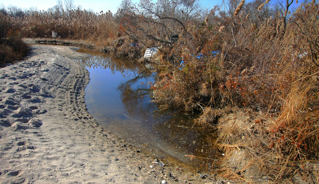 November 23, 2012, Breezy Point, Interior