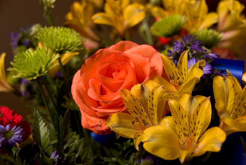 Flowers