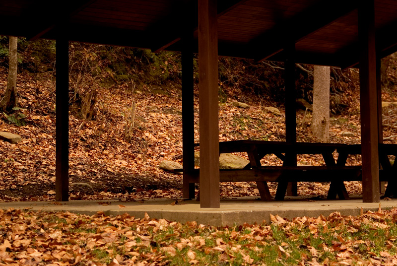 Picnic Tables