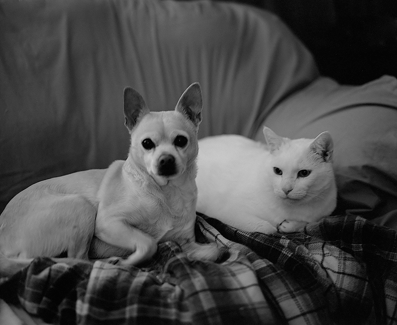 Sharing the Blanket