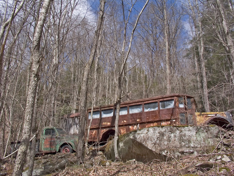 In the Holler