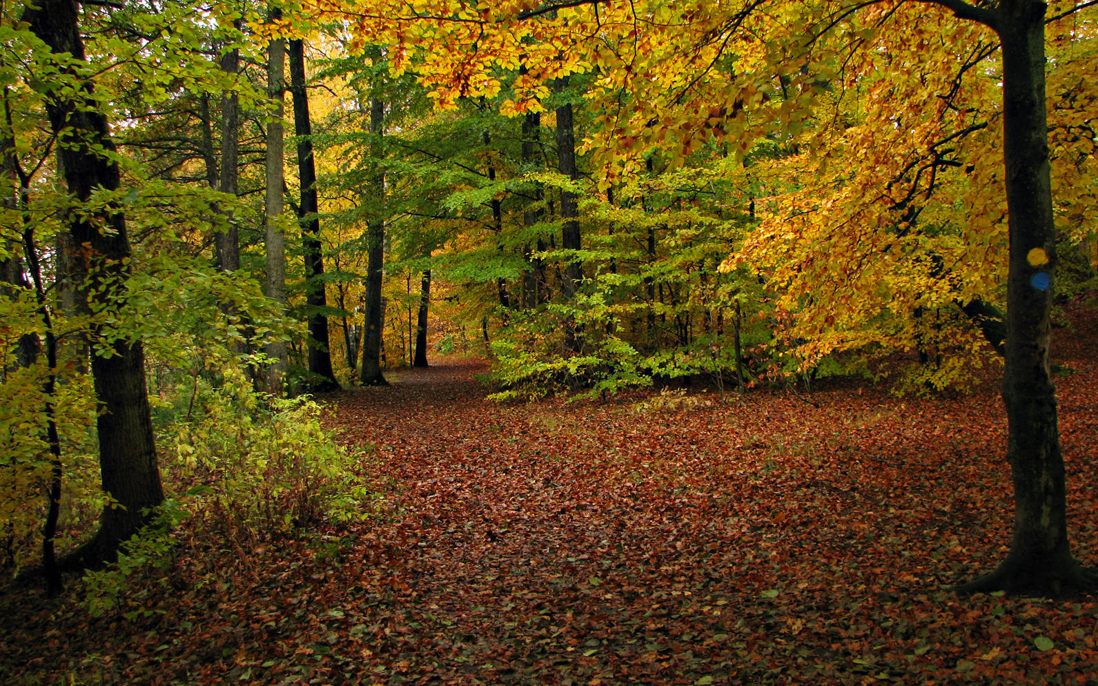 P hstpromenad i Snogeholm