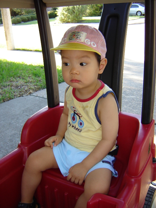 戴上帽子坐 wagon