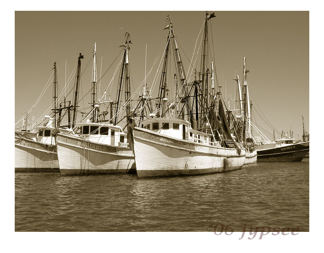 shrimpers
