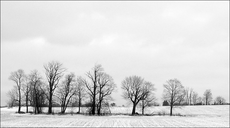 Stark Winter