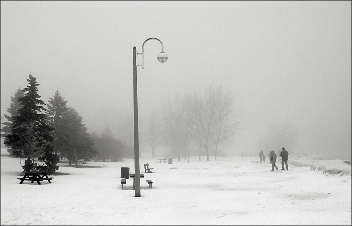 Winter fog
