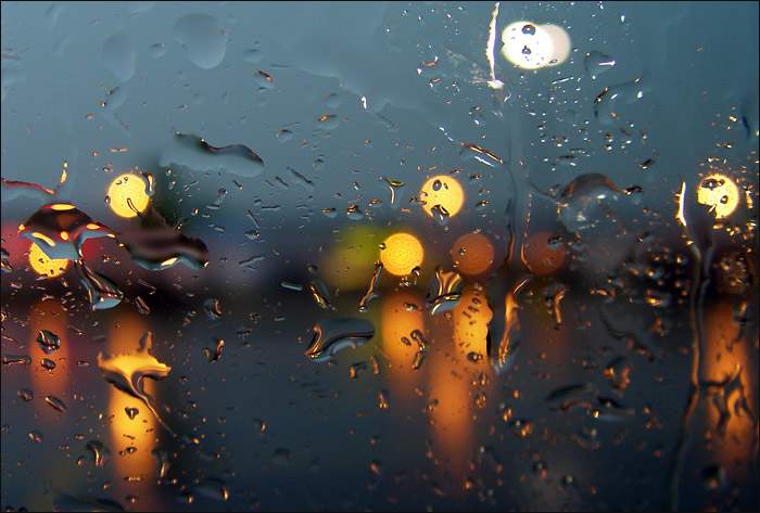 Raindrops and bokeh