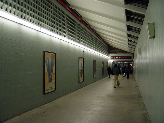 Eglinton subway station