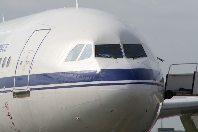 09-a310-nose.jpg