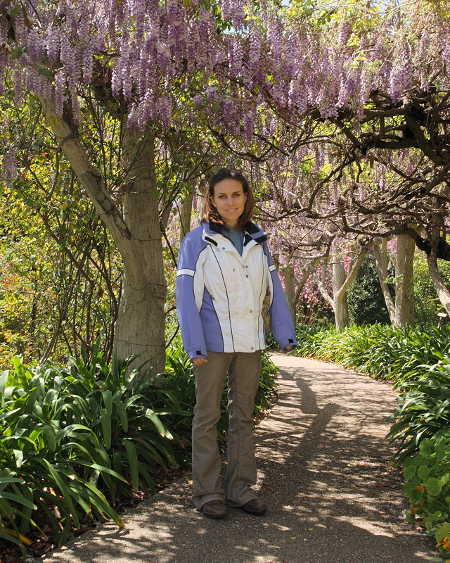 6104 - Under the Wisteria