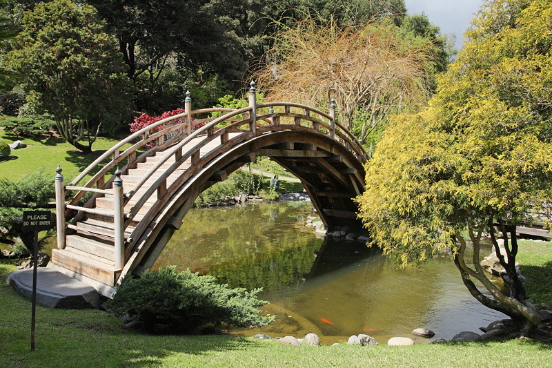 6114 - Japanese Garden Bridge