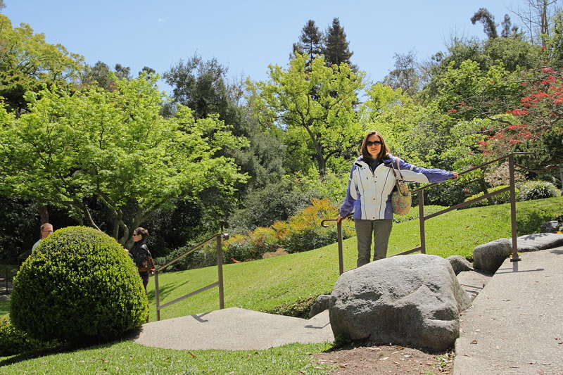 6118 - In the Japanese Garden