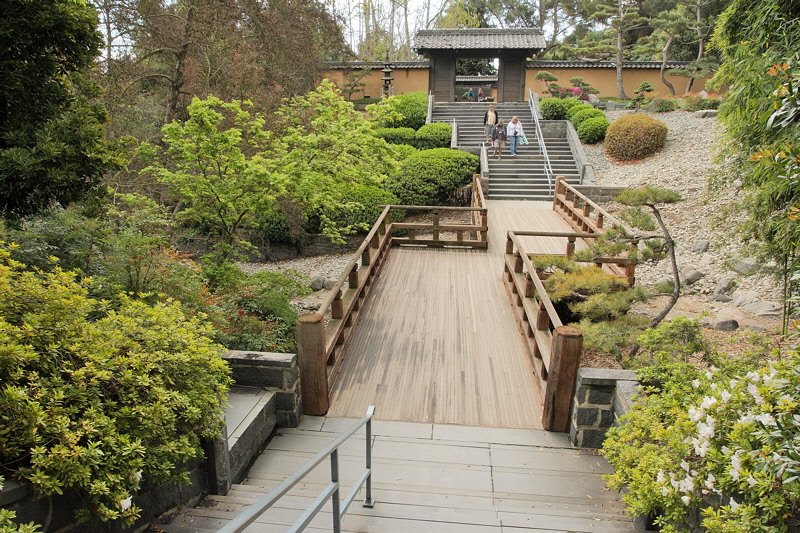 6125 - Stairs to the Zen Garden