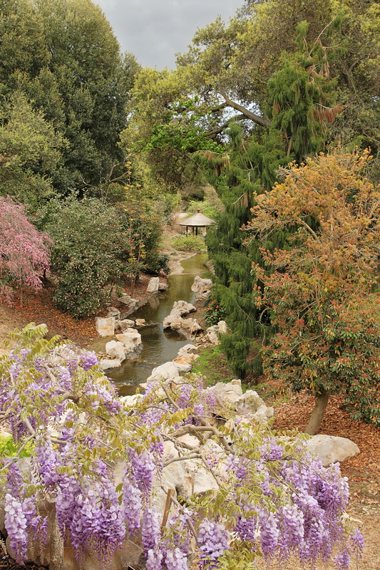 6129 - View from Chinese Garden Waterfall