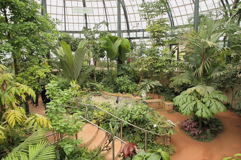 6138 - Rain Forest Conservatory