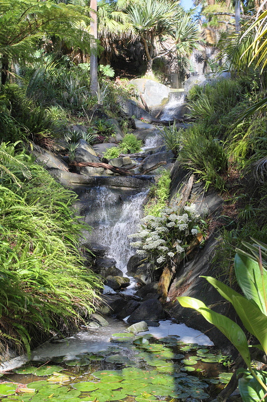 Waterfall Area (6180)