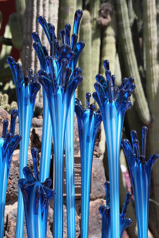 6545 - Blue Spike Flowers