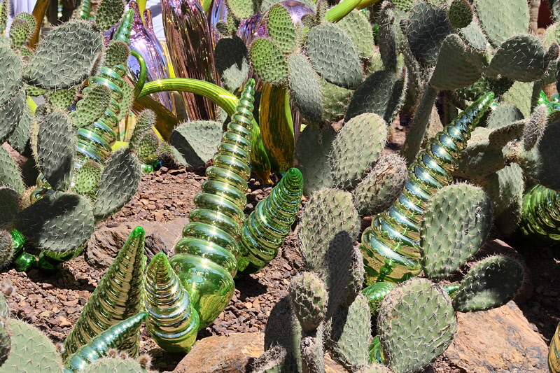 6546 - Green Worms and Cactus