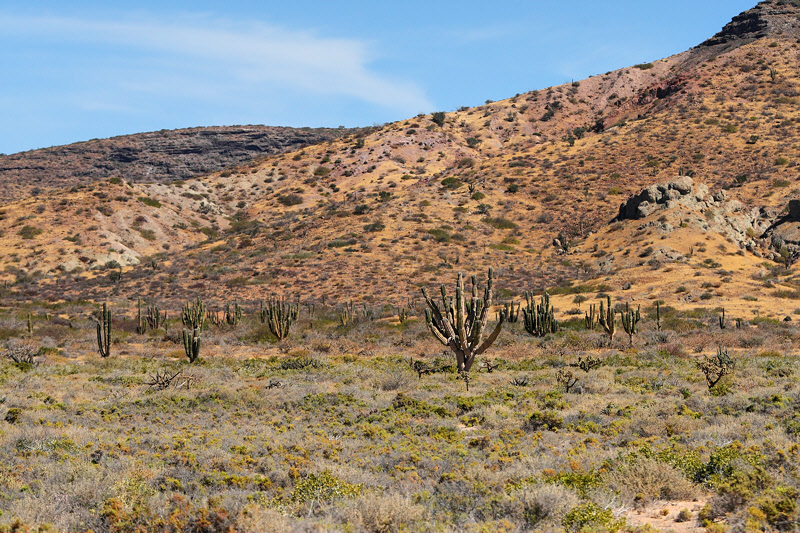 Desert Landscape at Espiritu Santo (9654)