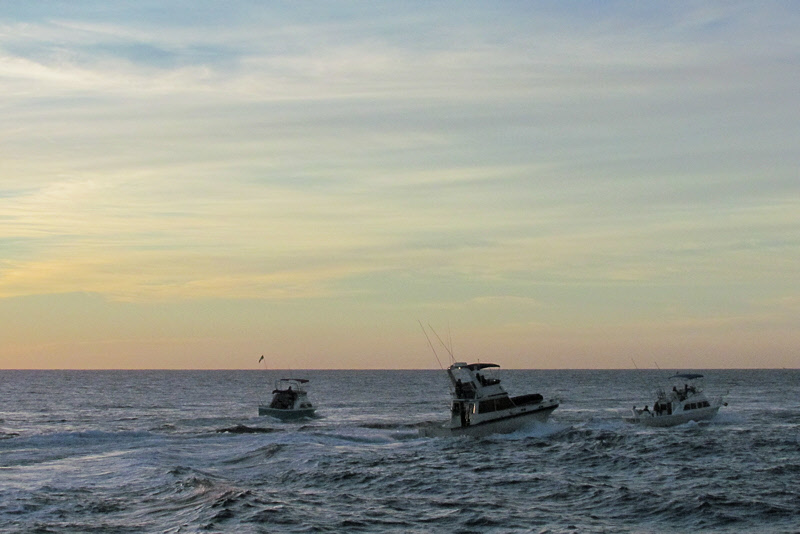 Fishing Boats Heading Out to Sea (3043X)