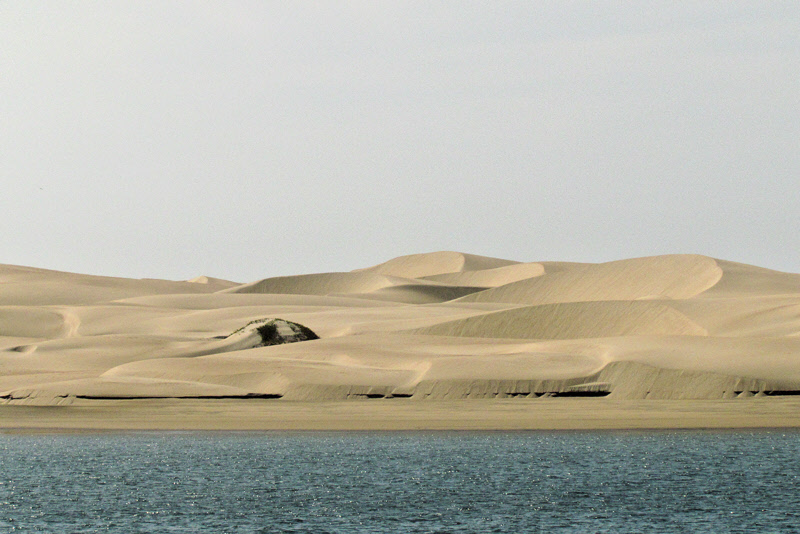 Isla Magdalena Barchan Sand Dunes (2867X)