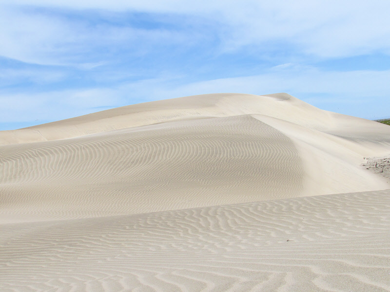 Isla Magdalena Sand Dunes (2930X)