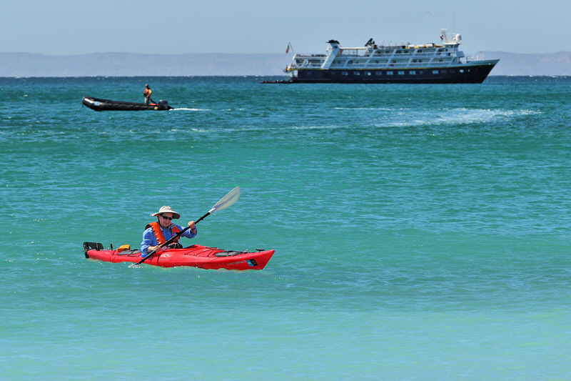 Kayaker Returns to Beach (9732)