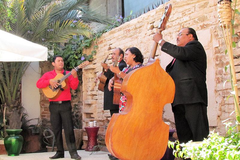 Lunch Music at Cafe Corazon (3124X)