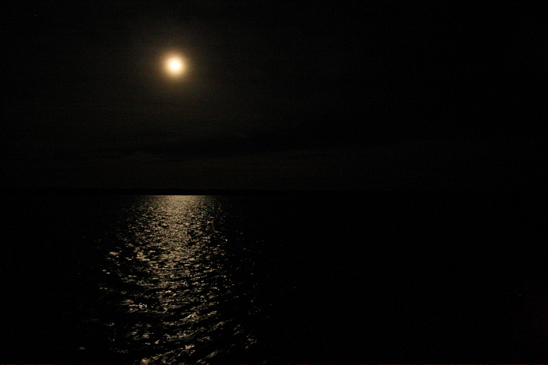 Moon Over the Baja (8395)