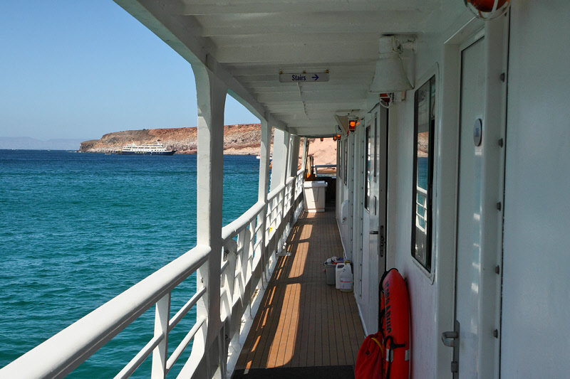 Sea Bird and Safari Endeavor at Ensenada Grande (9771)