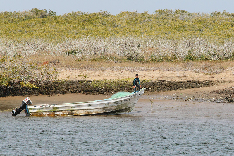 Young Fisherman (7603)