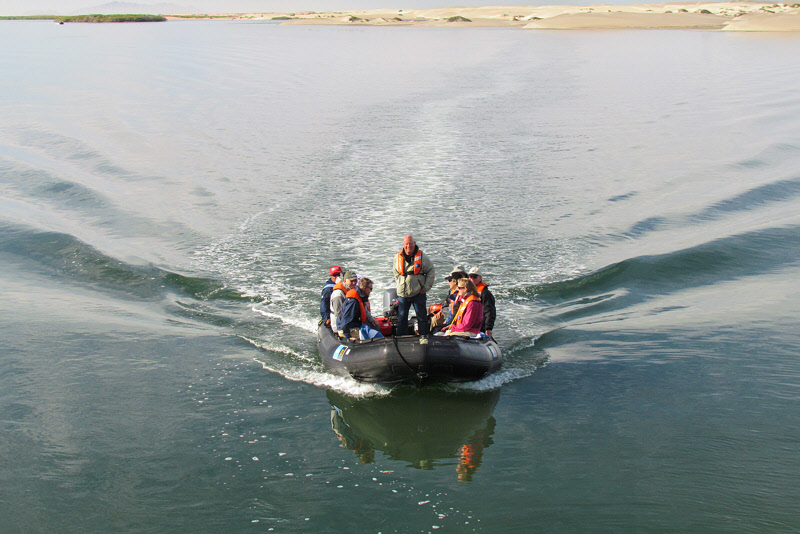Baja California and the Sea of Cortez -- Feb/Mar 2013