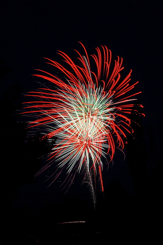 Fireworks 8689