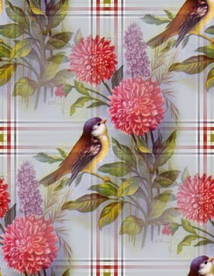 prettybird.jpg