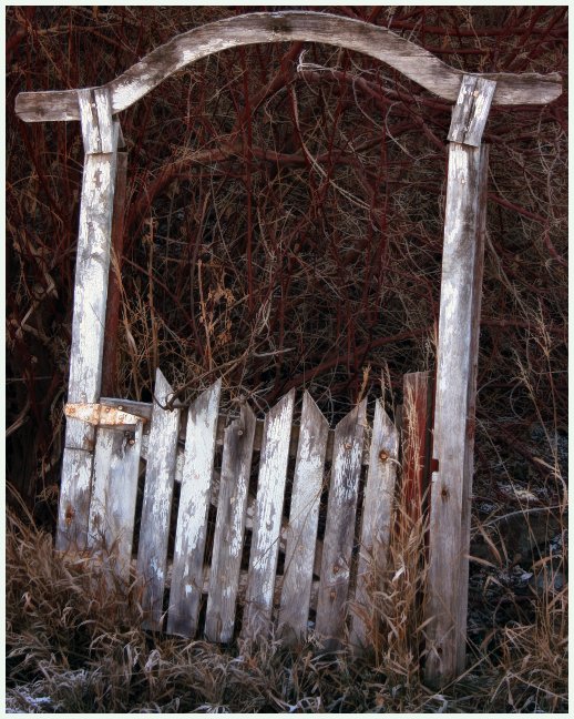 Rickety Old Gate.jpg