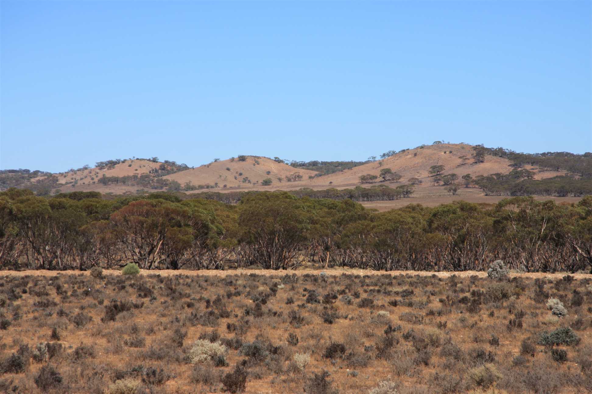 Mountain Range near Burra