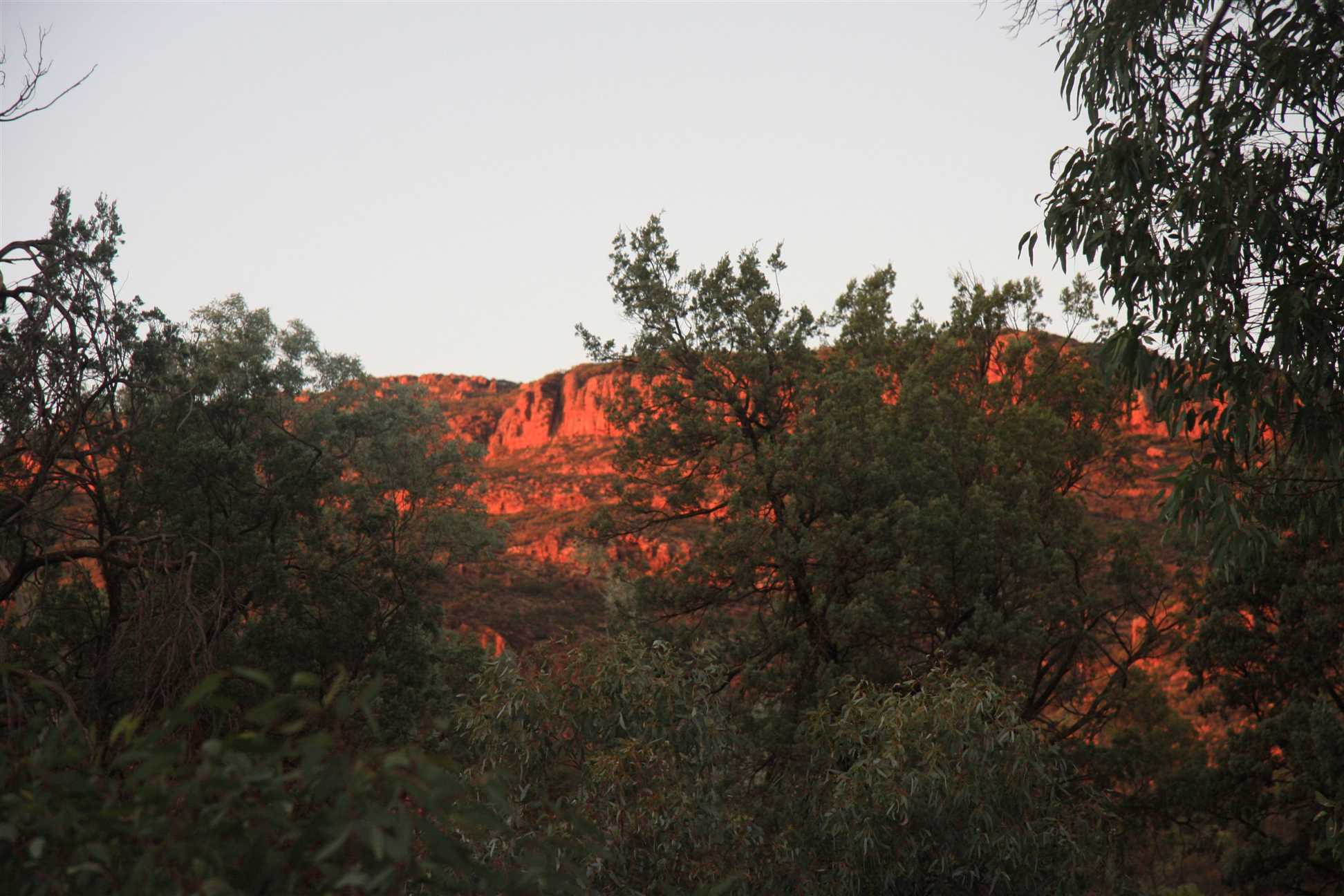 Sunrise in Wilpena Pound