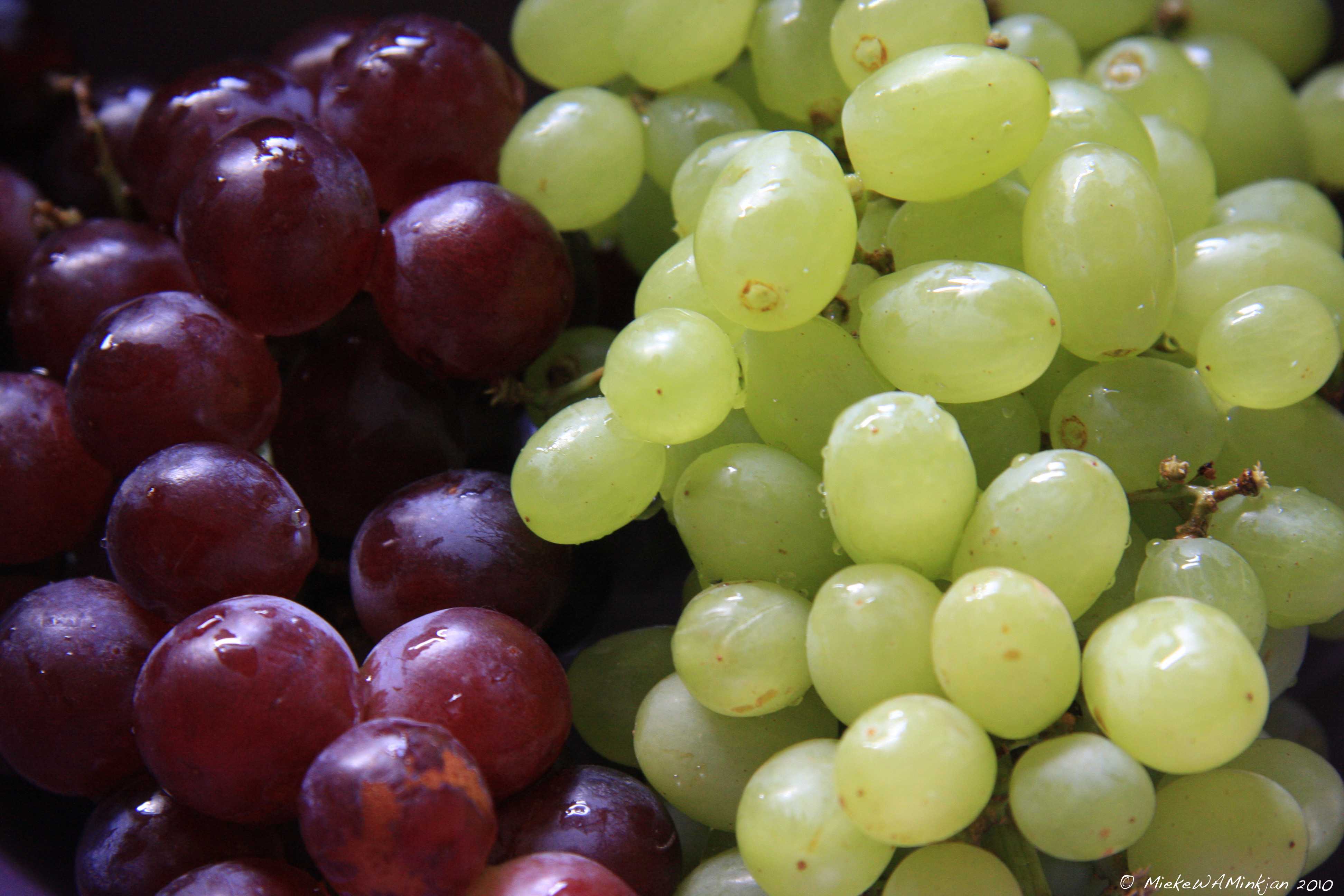 20 Grapes