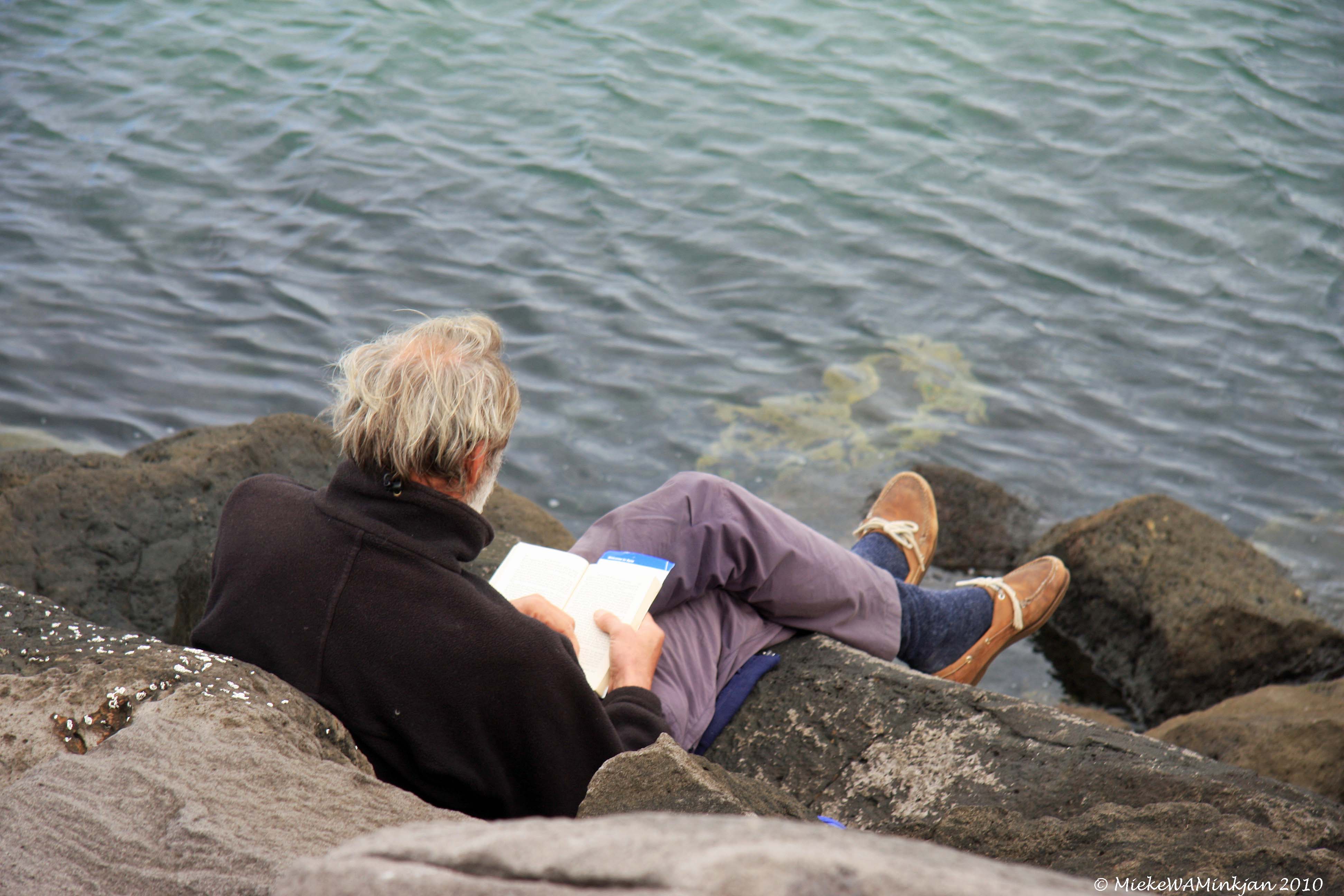 13 The reader